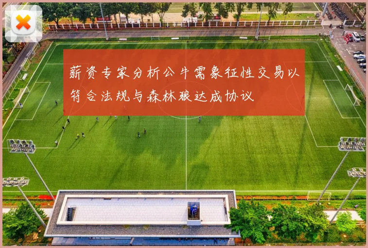 薪资专家分析公牛需象征性交易以符合法规与森林狼达成协议